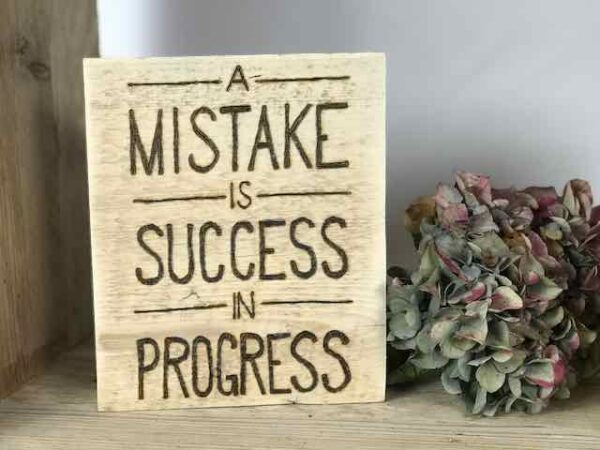 a mistake is success in progress