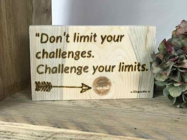 don't limit your challenges.